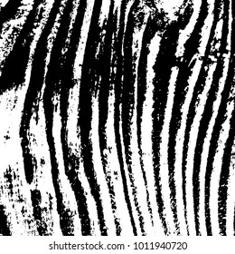 Striped Zebra Grunge Overlay Vector Texture For Your Design. Empty distressed wooden fiber background. EPS10 vector.