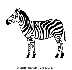 Zebra gestreift. Herbifressender Säugetier. Afrikanisches Wildtier. Fauna und Zoologie. Cartoon, Vektorgrafik einzeln. Schwarz-Weiß-Skizze