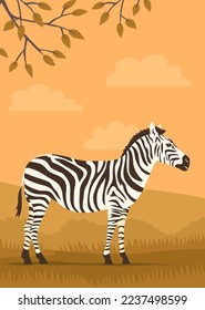 Striped zebra on the background of the wild savannah. Herbivorous hoofed mammal. African wild animal. Fauna and zoology. Cartoon vector illustration