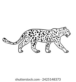 The stripes of the leopard are walking.Vector illustration isolated on white.