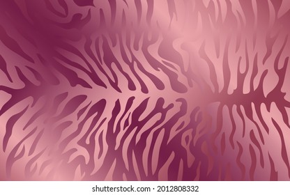 Stripes on the skin of a tiger, a pattern of stripes on the skin of a predator, gold pink pattern on a pink background. Vector illustration.