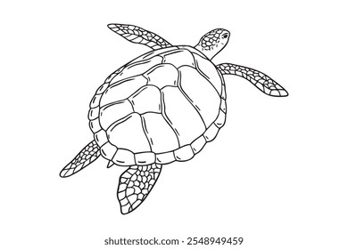 Stripes sea turtle swimming. realistic sea turtle doodle hand drawn isolated line black icon . Vector illustration