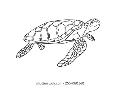 Stripes sea turtle swimming. realistic sea turtle doodle hand drawn isolated line black icon . Vector illustration