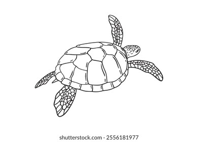 Stripes sea turtle swimming. realistic sea turtle doodle hand drawn isolated line black icon . Vector illustration