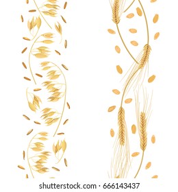 Tiras de trigo y orejas de avena con granos aislados en fondo blanco. Los picos dorados. Vista superior. Cierra. vector de patrón transparente. Para el diseño, cosméticos, dieta, medicina, atención de salud, cocción de ungüentos