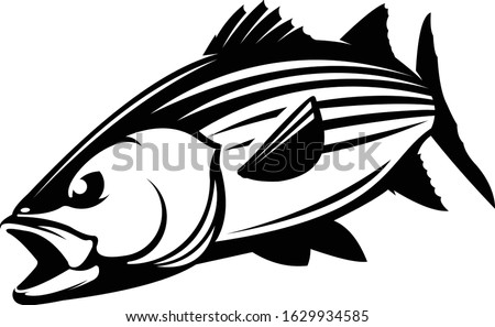 Stripped Bass Logo Template, a Unique Strong and Masculine Stripped bass Outline art. Great for fishing logo
