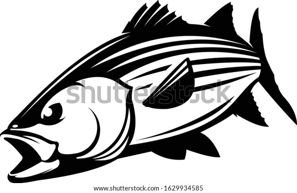 Stripped Bass Logo\
Template, a Unique Strong and Masculine Stripped bass Outline art.\
Great for fishing\
logo