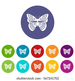 Stripped butterfly set icons in different colors isolated on white background