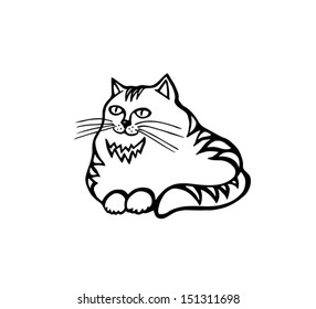 Stripped cat 