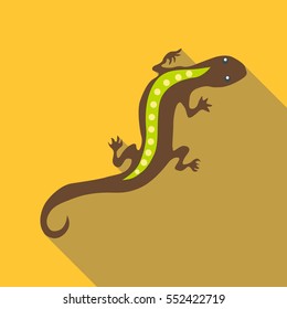 Stripped lizard icon. Flat illustration of stripped lizard vector icon for web