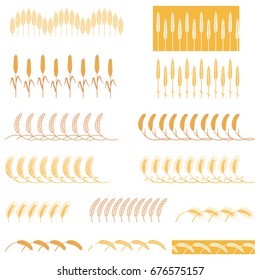 Strips ears of cereals plants. Set of stripes of repeating bunches of cereals
