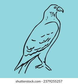 Striy eagle. Vector drawing, eps