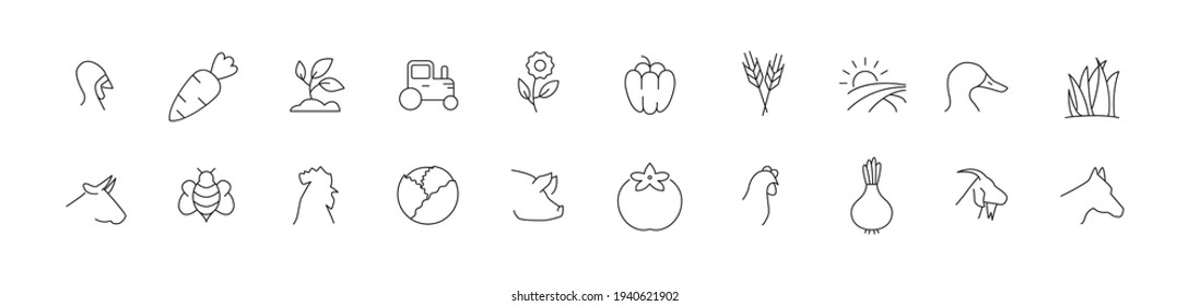 Stroke vector agriculture line icons. Pixel perfect signs isolated on a white background. Agriculture pictograms in trendy outline style.