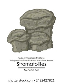 Stromatolite formations from the Archean Eon are ancient microbial structures in layered sediment, formed in shallow waters.