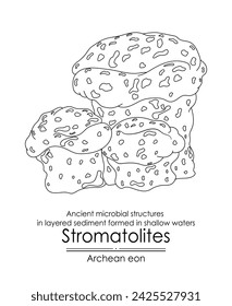 Stromatolite formations from the Archean Eon are ancient microbial structures in layered sediment, formed in shallow waters.