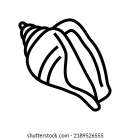 strombus sea shell beach line icon vector. strombus sea shell beach sign. isolated contour symbol black illustration