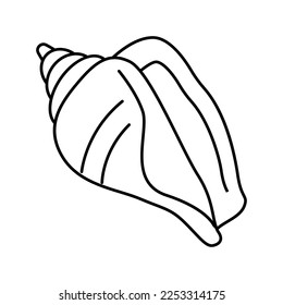 strombus sea shell beach line icon vector. strombus sea shell beach sign. isolated contour symbol black illustration