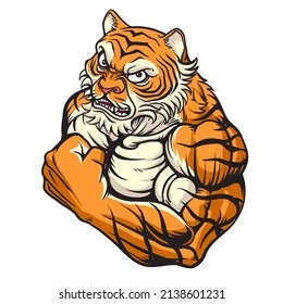 Strong and angry Tiger. The wild animal has huge muscles.vector Illustration