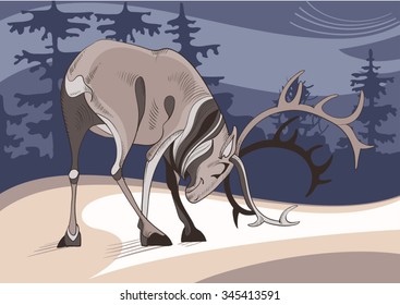A strong antlered reindeer on background of winter taiga