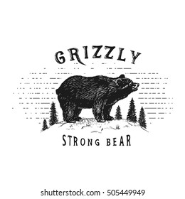 Strong bear in forest.Vintage old label. Hand drawn vector illustration.Prints design