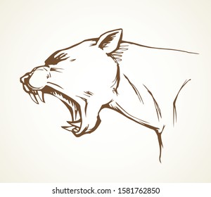 Strong big furious pride cruel crazy killer hunter fleer white text space. Line black ink hand drawn zoo beast smirk logo pictogram emblem design in retro engrave art doodle print style. Closeup view