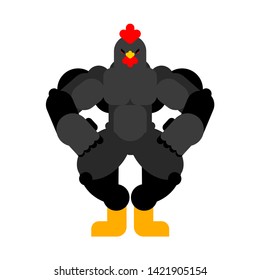 Strong black rooster. Powerful bantam. spring chicken bodybuilder. hard Farm bird
 
