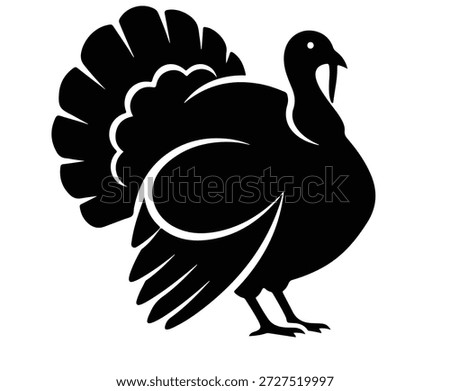 A strong black and white turkey struts.