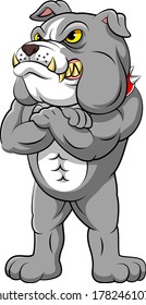 Strong bulldog in standing pose of illustration