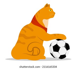 strong, confident street cat put his paw on a sports soccer ball. Challenges an opponent. Cartoon red tabby cat isolated on white background