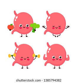Strong cute healthy happy human stomach organ character set. Vector flat cartoon illustration icon design. Isolated on white background. Healthy human stomach make gym,meditate in yoga,sport concept