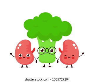 Strong cute healthy happy kidneys and broccoli character. Vector flat cartoon illustration icon design. Isolated on white background. Couple of healthy human kidney,broccoli in glasses concept