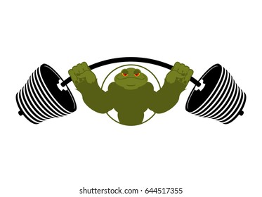 Strong frog. powerful toad with large muscles. Amphibian animal athlete bodybuilder