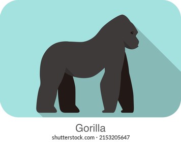Strong gorilla standing and watching vector illustration