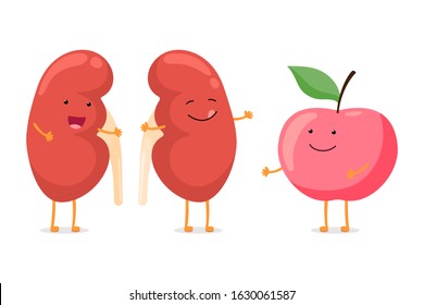 Strong healthy happy kidney smiling emotion character with red apple. Human anatomy genitourinary system internal organ with eco food nutrition. Vector vegetable cartoon illustration