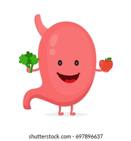 Strong healthy happy stomach character with broccoli and apple. Vector flat cartoon illustration icon design. Isolated on white background. Digestive tract, Healthy food nutrition,stomach concept