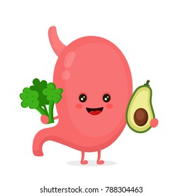 Strong healthy happy stomach character with broccoli and avocado. Vector flat cartoon illustration icon design. Isolated on white background. Digestive tract, Healthy food nutrition,stomach concept

