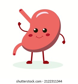 Strong healthy happy stomach.Vector cartoon illustration icon design. Isolated on white background.