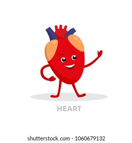 Strong healthy heart cartoon character isolated on white background. Happy heart icon vector flat design. Healthy organ concept medical illustration.