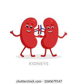 Strong healthy kidneys cartoon characters isolated on white background. Happy kidneys icon vector flat design. Healthy organ concept medical illustration.
