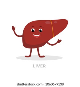 Strong healthy liver cartoon character isolated on white background. Happy liver icon vector flat design. Healthy organ concept medical illustration.