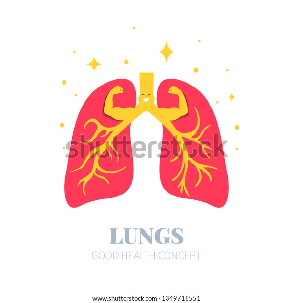 Strong Healthy Lungs Cartoon Character Showing Stock Vector Royalty Free 1349718551