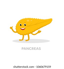 Strong healthy pancreas cartoon character isolated on white background. Happy heart icon vector flat design. Healthy organ concept medical illustration.