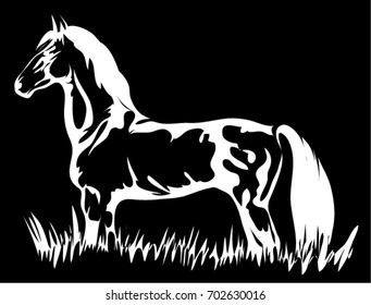 A strong horse is standing in the high grasses.