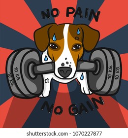 Strong Jack Russell dog carry dumbbell , no pain no gain word cartoon vector illustration 