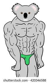 strong koala