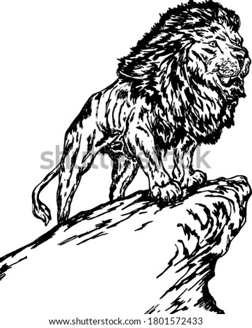 A strong lion perched on top of a cliff. Hand drawn vector illustration.