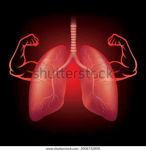 Strong Lungs Enlarged Musclesillustration Vector 库存矢量图（免版税）2008732808 Shutterstock