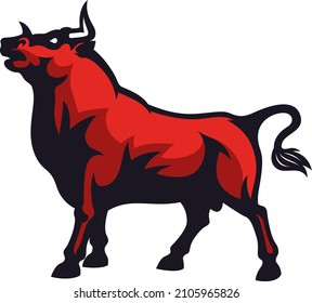 Strong Masculine Red Fighting Bull Looking Up