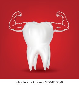 Strong muscle healthy tooth isolated on a red background. 