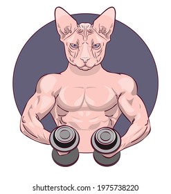 Strong muscular cat holding two dumbbells in his hands and doing workout vector illustration. Fitness logo  illustration. Bodybuilding.